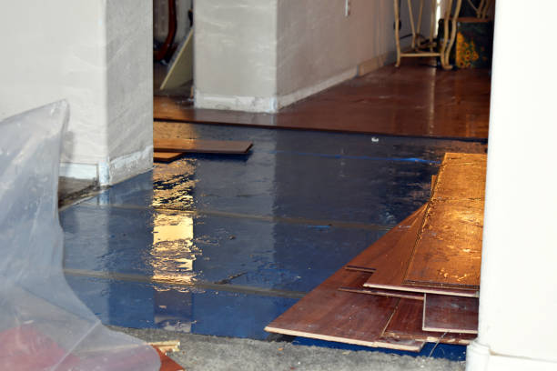 Professional Basement Flood Cleanup technician working in West Boylston, MA